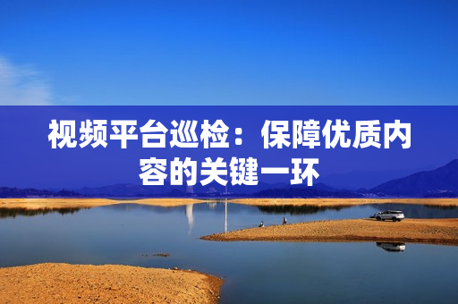 視頻平臺(tái)巡檢：保障優(yōu)質(zhì)內(nèi)容的關(guān)鍵一環(huán)