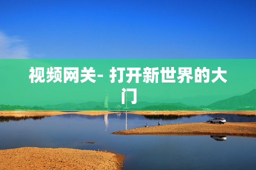 視頻網關- 打開新世界的大門
