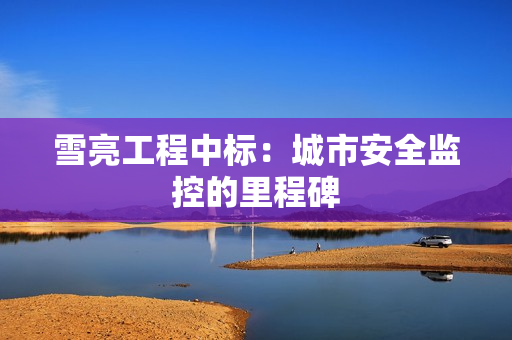 雪亮工程中標：城市安全監控的里程碑