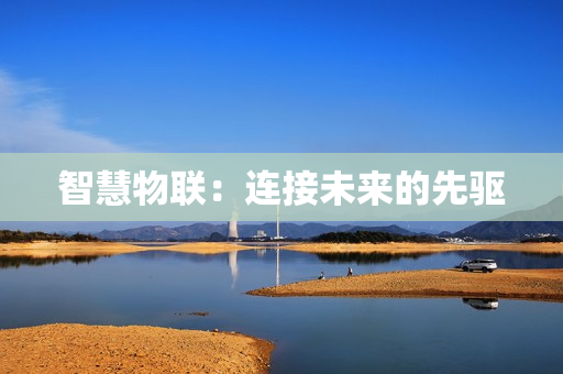 智慧物聯(lián)：連接未來的先驅(qū)
