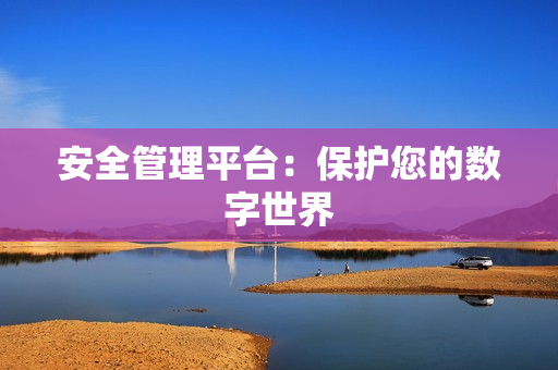 安全管理平臺：保護您的數字世界