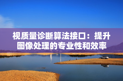 視質量診斷算法接口：提升圖像處理的專業性和效率