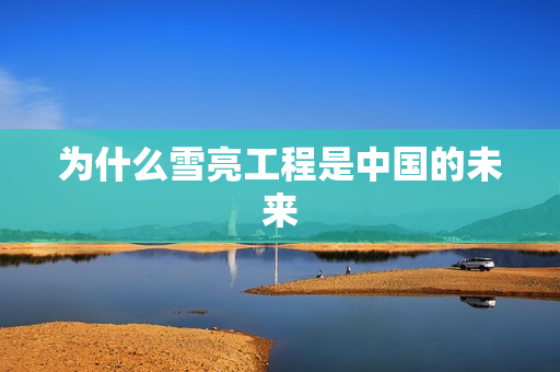 為什么雪亮工程是中國的未來