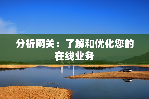 分析網關：了解和優化您的在線業務