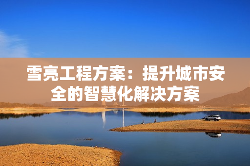 雪亮工程方案：提升城市安全的智慧化解決方案
