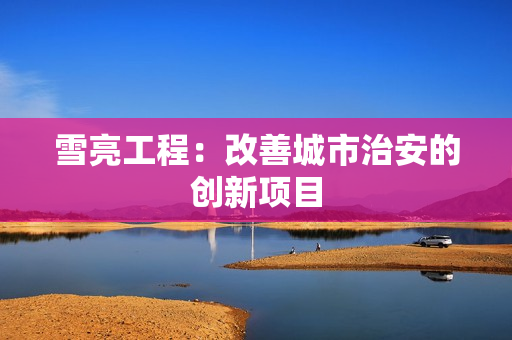 雪亮工程：改善城市治安的創新項目
