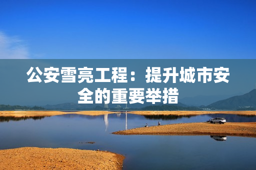 公安雪亮工程：提升城市安全的重要舉措