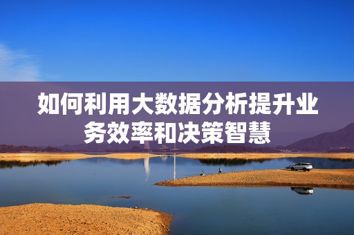 如何利用大數據分析提升業務效率和決策智慧
