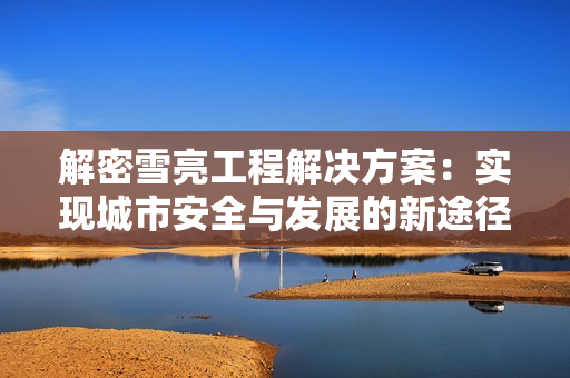 解密雪亮工程解決方案：實現(xiàn)城市安全與發(fā)展的新途徑