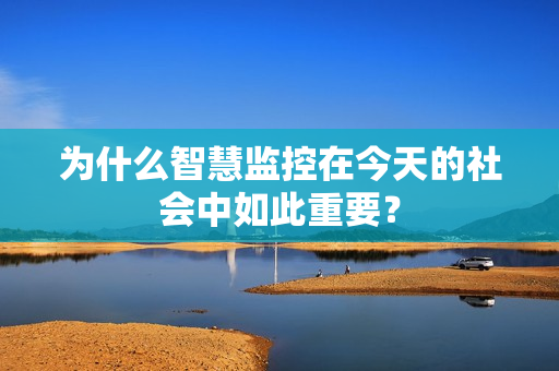 為什么智慧監(jiān)控在今天的社會中如此重要？