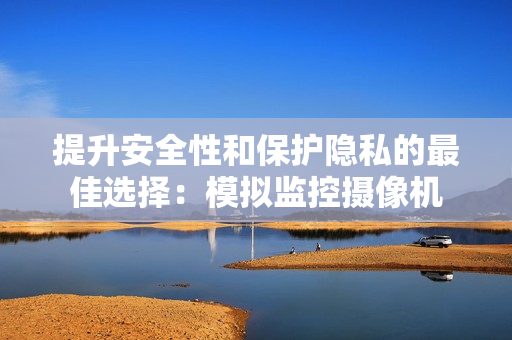 提升安全性和保護隱私的最佳選擇：模擬監控攝像機