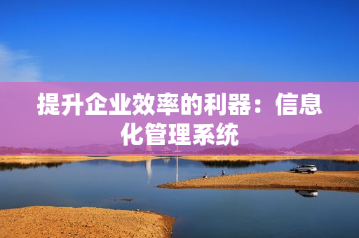 提升企業效率的利器：信息化管理系統