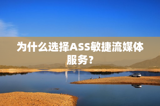 為什么選擇ASS敏捷流媒體服務？