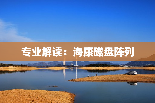 專業(yè)解讀：海康磁盤陣列