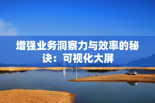 增強業務洞察力與效率的秘訣：可視化大屏