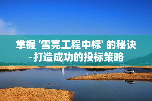 掌握 '雪亮工程中標(biāo)' 的秘訣-打造成功的投標(biāo)策略