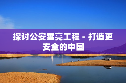 探討公安雪亮工程 - 打造更安全的中國