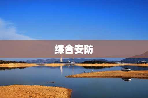 綜合安防