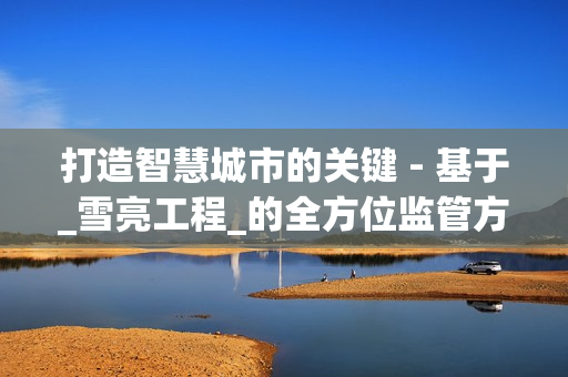打造智慧城市的關鍵 - 基于_雪亮工程_的全方位監(jiān)管方案
