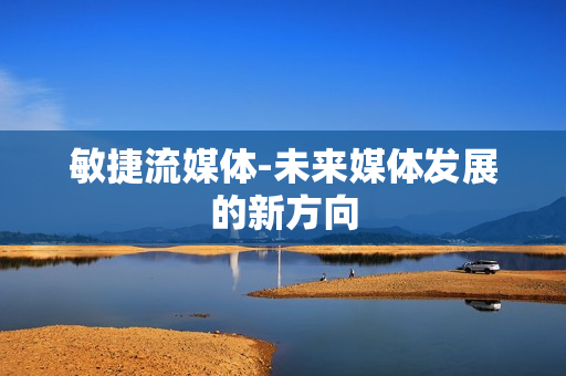 敏捷流媒體-未來媒體發展的新方向