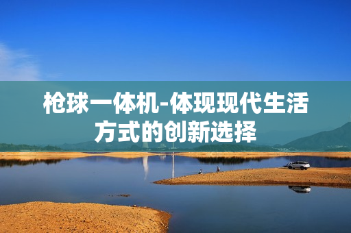 槍球一體機-體現現代生活方式的創新選擇