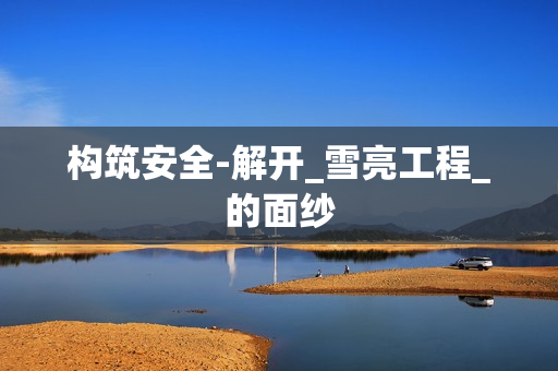 構(gòu)筑安全-解開_雪亮工程_的面紗