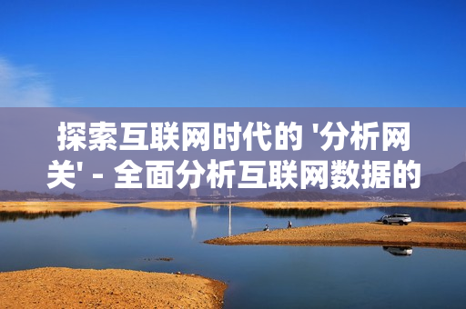 探索互聯網時代的 '分析網關' - 全面分析互聯網數據的關鍵