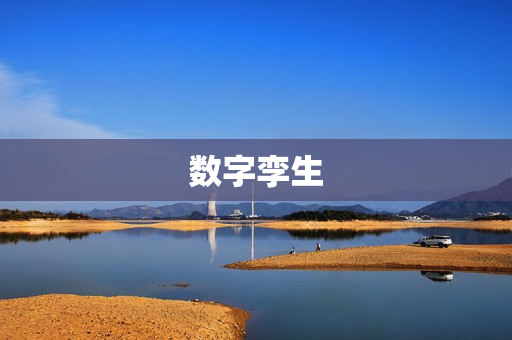 數字孿生