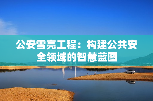 公安雪亮工程：構(gòu)建公共安全領(lǐng)域的智慧藍(lán)圖