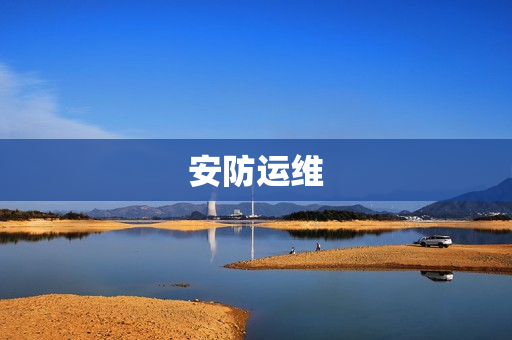 安防運維