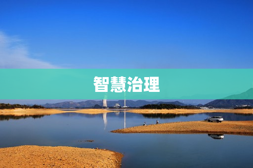 智慧治理