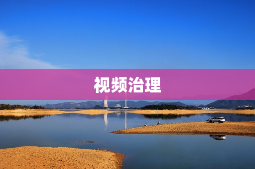 視頻治理