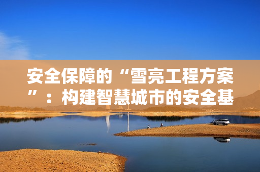 安全保障的“雪亮工程方案”：構建智慧城市的安全基石