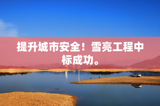 提升城市安全！雪亮工程中標成功。