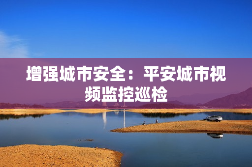 增強城市安全：平安城市視頻監控巡檢