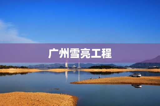 廣州雪亮工程