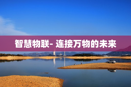 智慧物聯(lián)- 連接萬物的未來