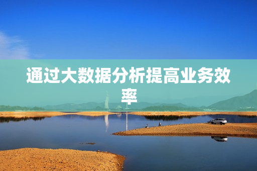 通過大數據分析提高業務效率
