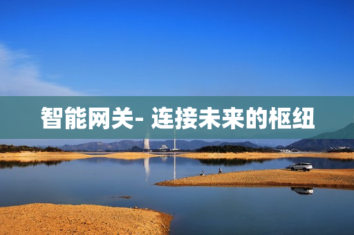 智能網(wǎng)關(guān)- 連接未來的樞紐