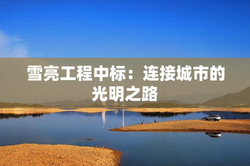 雪亮工程中標：連接城市的光明之路