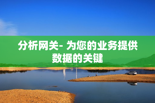 分析網關- 為您的業務提供數據的關鍵