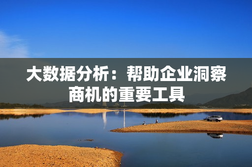 大數(shù)據(jù)分析：幫助企業(yè)洞察商機的重要工具