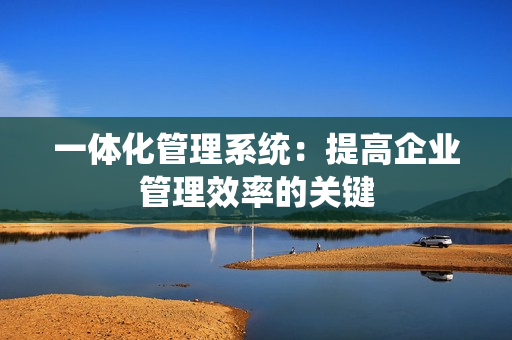 一體化管理系統：提高企業管理效率的關鍵